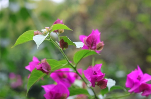 网易云五字名字 网易云五个字用户名