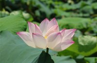 ​甜酷网名小众 一听就很甜的网名