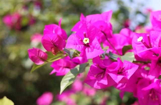 好听的yy两字名字：浅忆ˊ