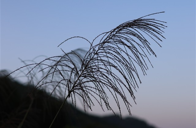 好看好听的八字网名：人潮拥挤我陪你走