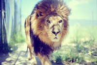 ​高情商问候早安的话早安暖心话短句(80句)