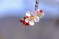 ​武林外传好听的名字（精选44个）