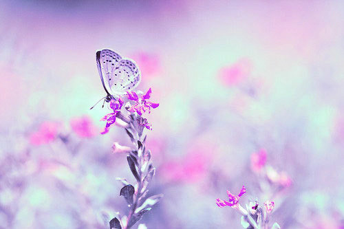 心理描写的片段21句