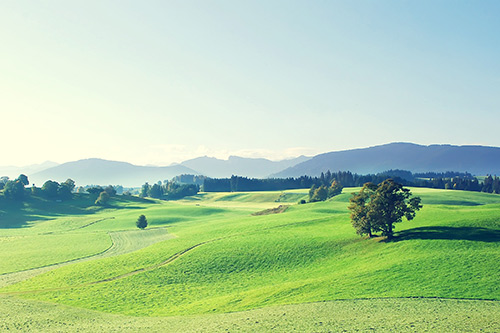 2023心灰意冷让人心碎的失恋签名(15句)