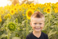 ​清雅的男生名字大全