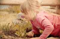 ​姓石女孩子取名字大全