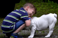 ​卞姓男孩名字大全