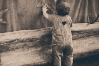 ​任氏取名大全男孩