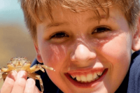 ​姓殳的男孩名字