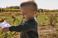 ​姓羿的男孩名字