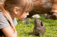 ​姓弓的女孩名字