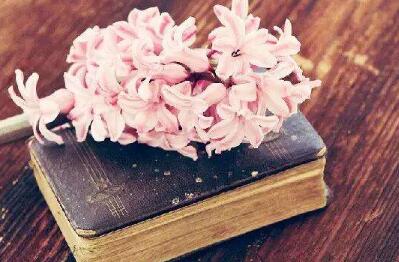 è¯ç»ååå¥³å­©æè¯æçåå­