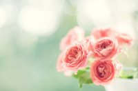 ​重庆搞笑歇后语65句