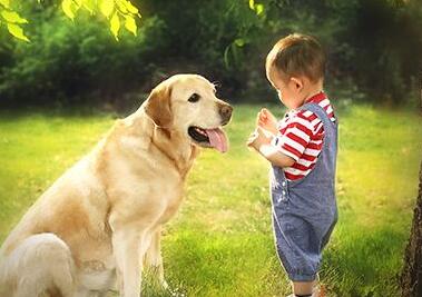 å§æ¬§çå¥³å­©åå­æ¶å°æé«å