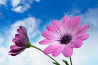 ​qq搞笑签名大全86句