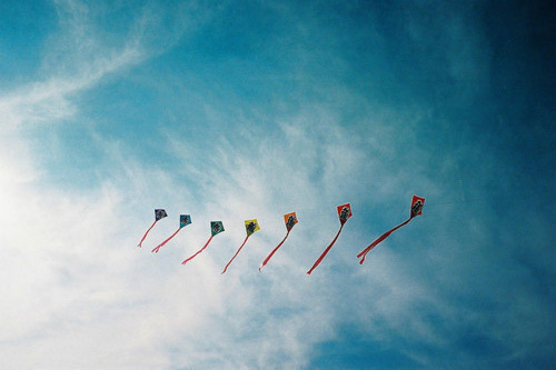 性签名自嘲搞笑92句