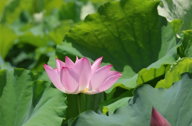 繁体字情侣网名浪漫