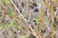 ​王者古风名字大全 男生