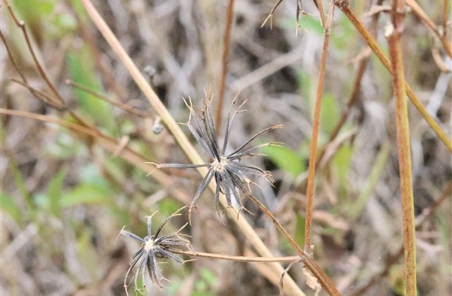 王者古风名字大全 男生