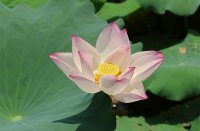 ​精选男生不易撞好听的微信网名(209个)