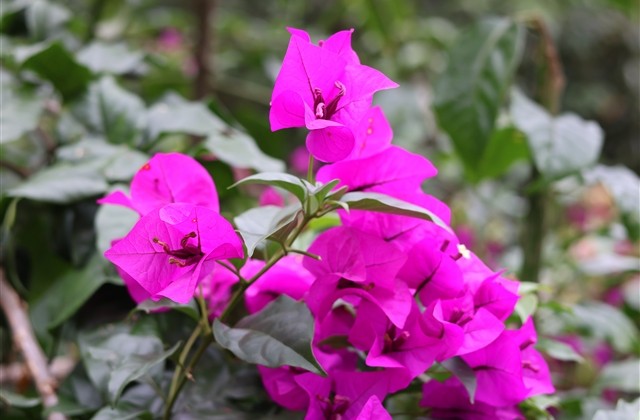 一个好听的名字网名