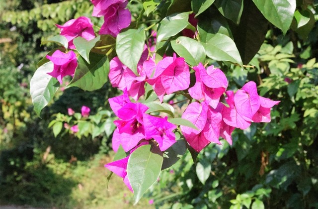 文艺霸气的男生名