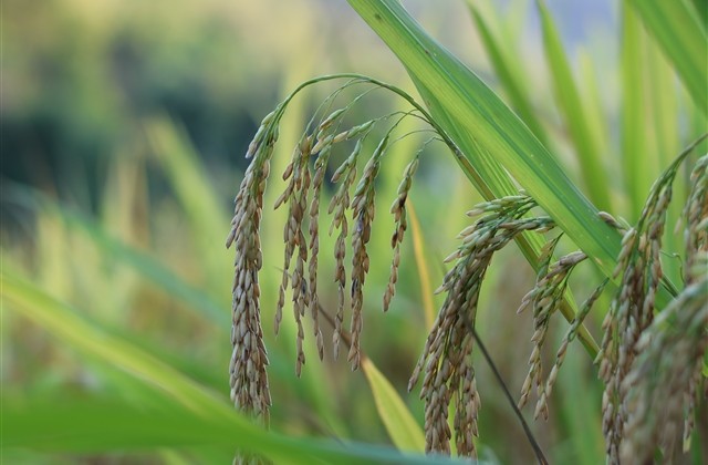 等待爱情的微信名字