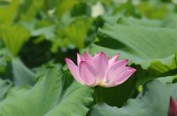 ​触动人心的情感网名(精选197个)