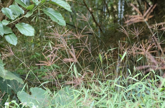 个性独特的微信名字