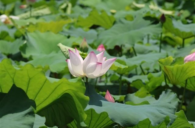 女生版好听显气质的微信网名(共1071个)