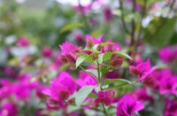 ​霸气高冷的昵称优选(优选841个)