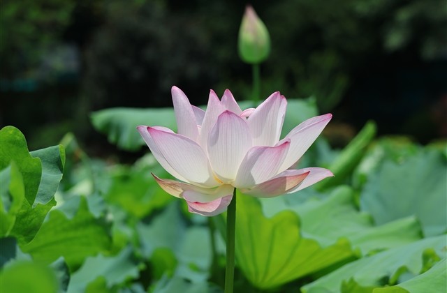 非常好听的游戏情侣名字(共493个)