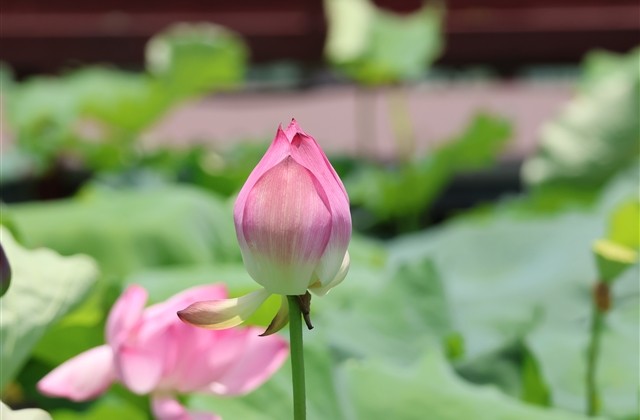 有深刻寓意的四字网名(848个)