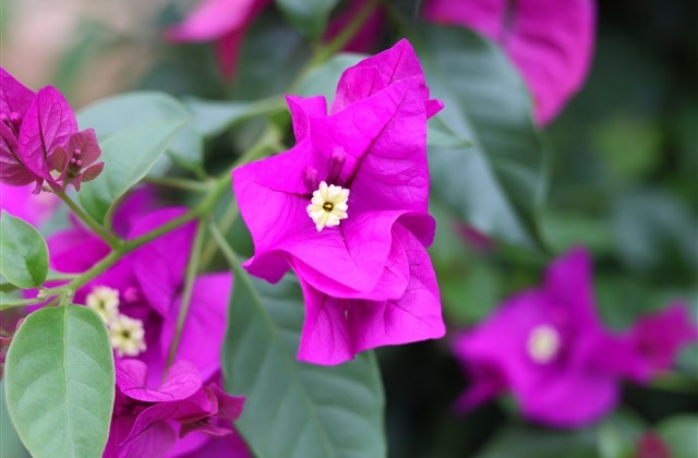 一生好运富贵的女孩微信名字