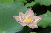 ​最新个性好运的微信名字大全(712个)