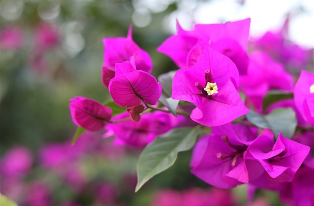 好听女生微信网名