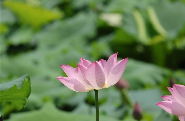 三个字qq网名大全(优选793个)