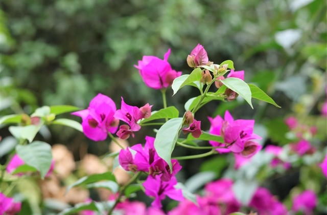 qq情侣昵称大全两个字(共511个)