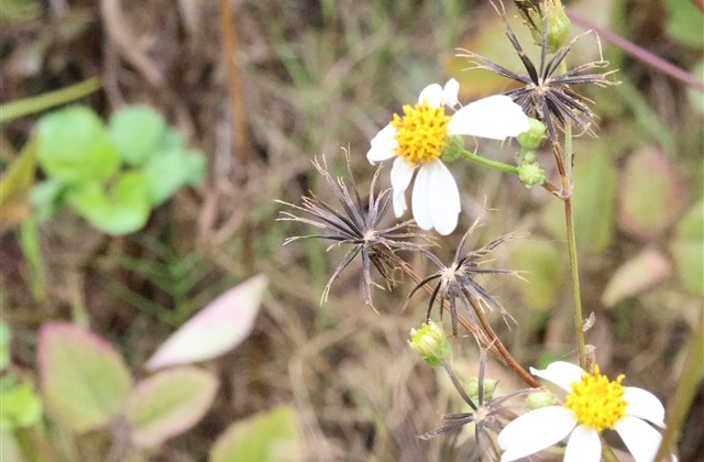有内涵的男微信名字