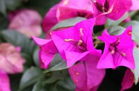 ​全网独一无二的网名(优选616个)