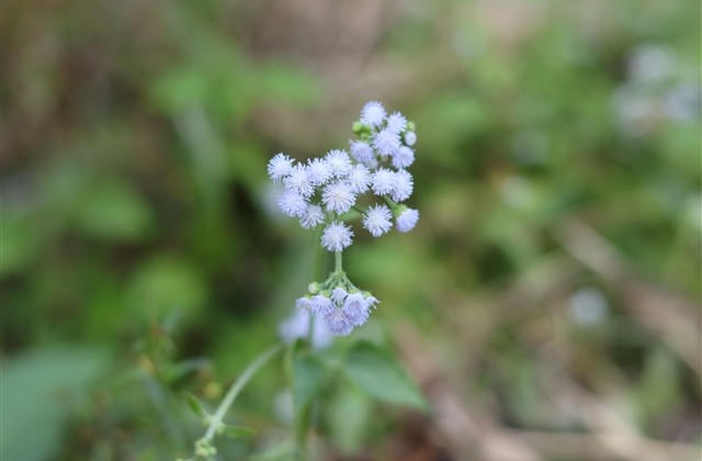 简洁高冷的微博名字