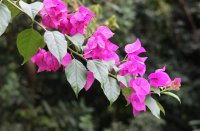 ​成熟稳重好听的微信昵称