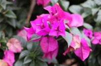 ​超霸气的游戏名字女生