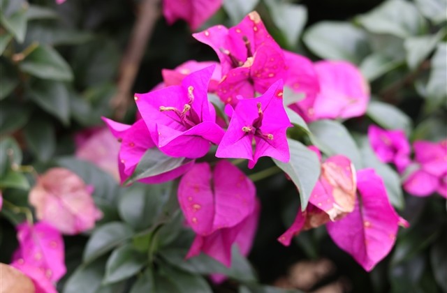 超霸气的游戏名字女生