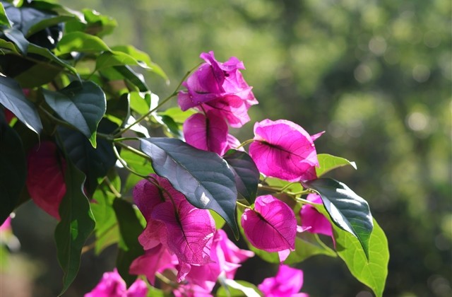 超霸气的游戏名字女生