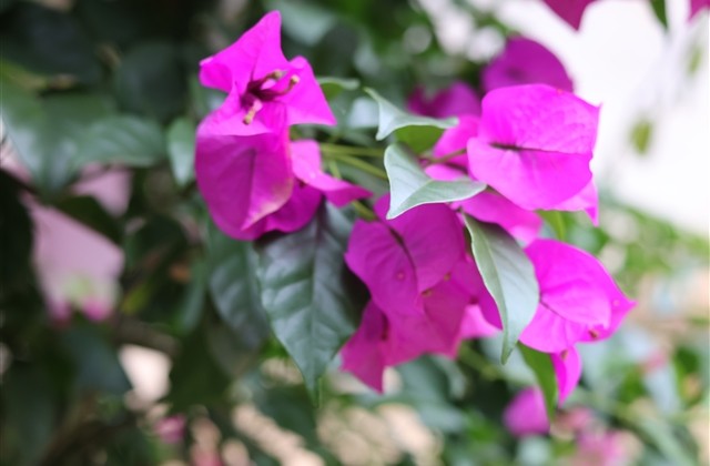 充满阳光的昵称女生