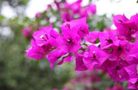 ​难过心痛绝望的网名(共497个)