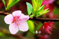 ​早上暖心短句 每日晨语正能量2024(20句)