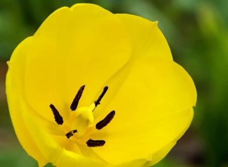 非常好听坠入星河的温柔网名大全