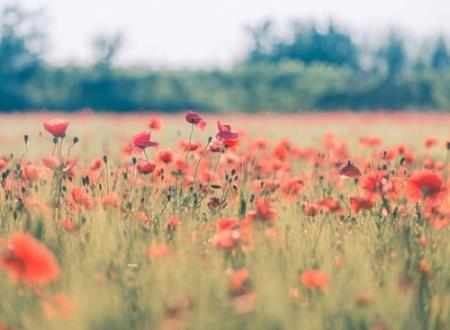 带梦的网名,关于梦的昵称大全